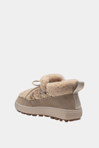 Chamonix S 19 Suede With Spike Low Boots